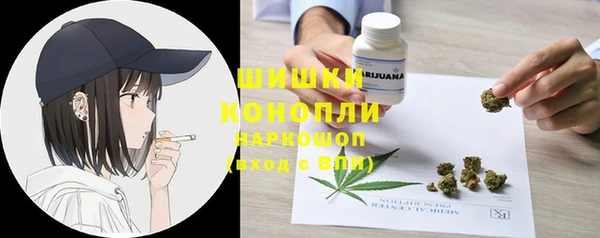 трава Инта