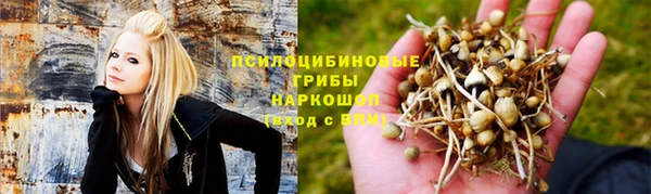 хмурый Алексеевка