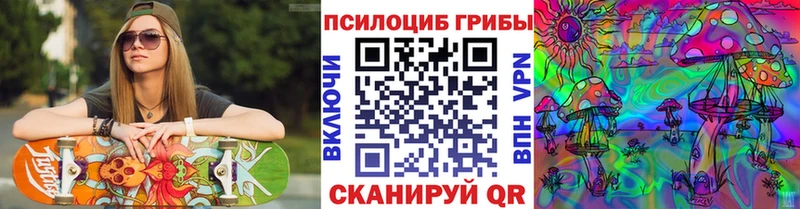 кракен сайт  закладка  Межгорье  Галлюциногенные грибы мицелий 
