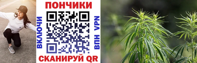 Конопля Amnesia  Межгорье 